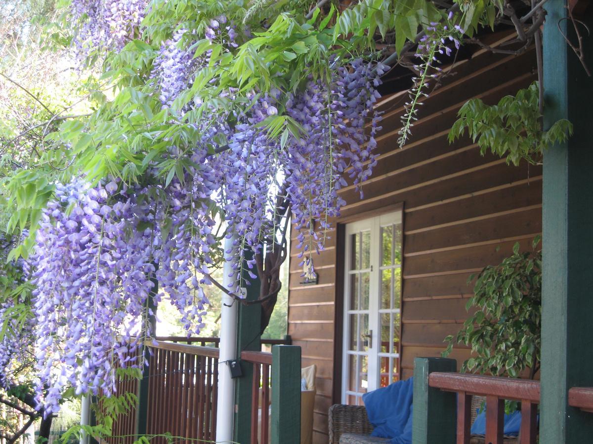 Rosemoore Bed & Breakfast Perth Dış mekan fotoğraf